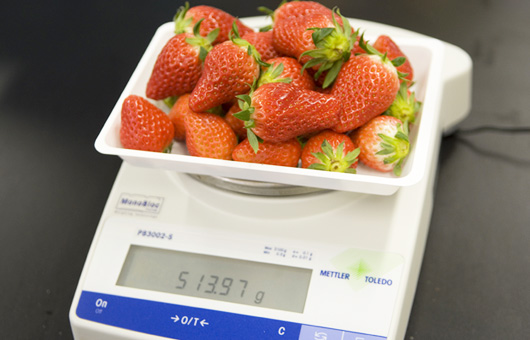 試料の重量の確認
